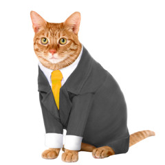 три, три, три, найс бит