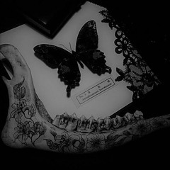 「Datura métal et paillette」- ダチュラと黒羽蝶 -