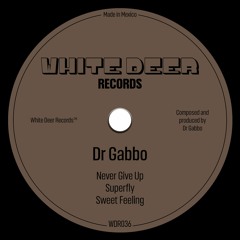 HSM PREMIERE | Dr Gabbo - Sweet Feeling [White Deer Records]