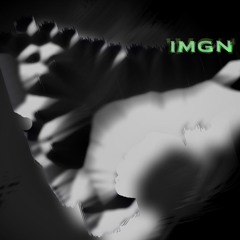 IMGN Demo