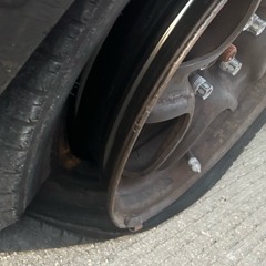 19 and reckless - Jamo