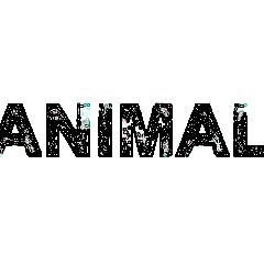 ANIMAL Ft Prince Vince / L.E.S. / The Antidote /