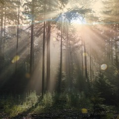Awaken the Dawn