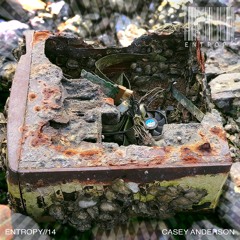 ENTROPY//14 - Casey Anderson