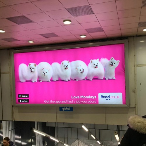 love pack 2022 (+ fenka, karasu, voidd, kiryano, garasu, april21, meta, 5v)