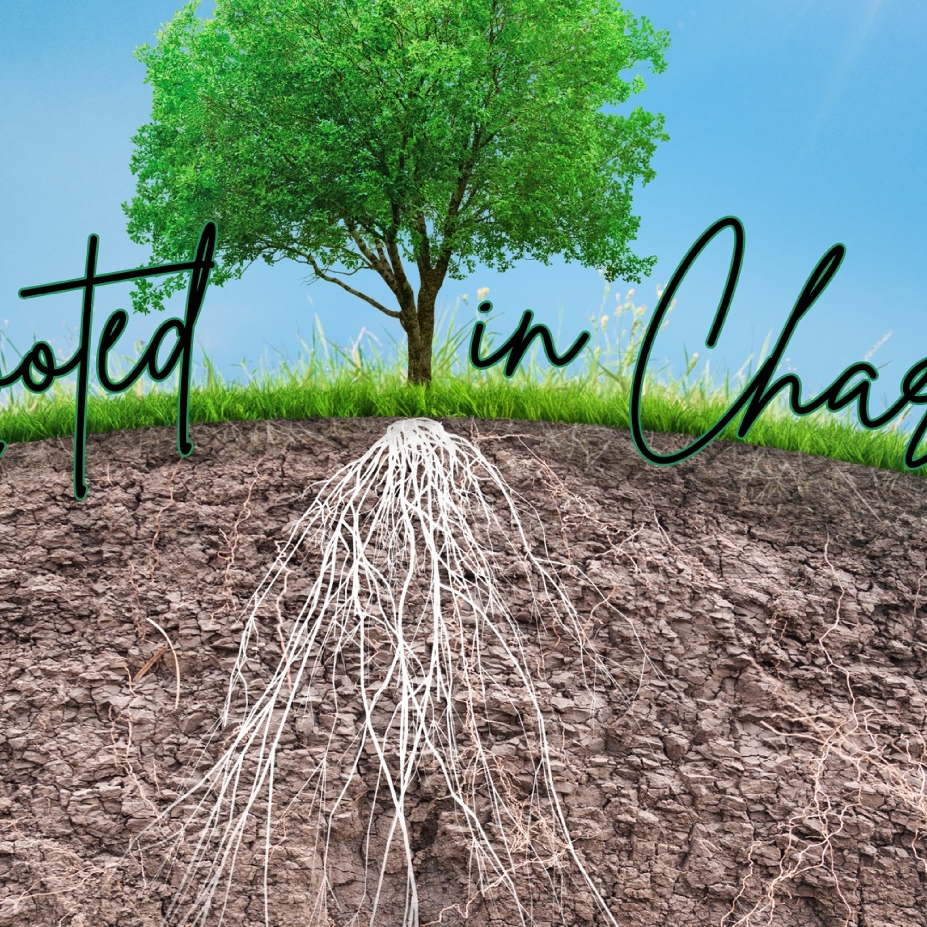 Rev Rebecca Currah - Rooted in Character