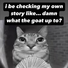 stfu i go stupid little bitch (oson)