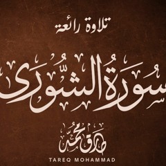 سورة الشورى - طارق محمد