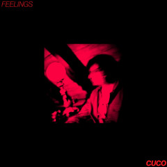CUCO - FEELINGS (live at TDC)