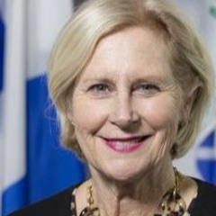 Clip - Jane Toller - Confirmed Cases in the Pontiac