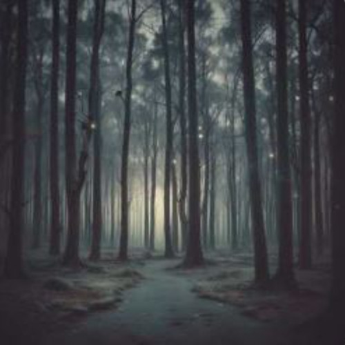 Shadows Fade