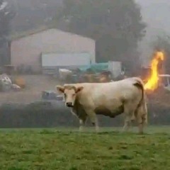 KWAZE KWASHISA w/ Willing Listeners Forum