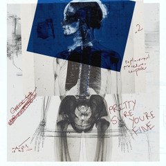 pretty sure you're fine