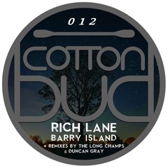 Rich Lane - Barry Island (Duncan Gray Ambient Remix) [CLIP]