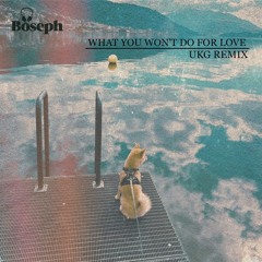 What you won't do for love (Boseph UKG Remix)