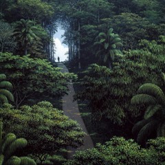 MANU CIAO (PROD BROTOM)