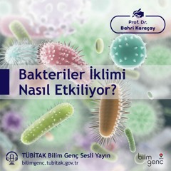 16- Bakteriler İklimi Nasıl Etkiliyor?