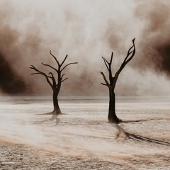 Kimim Varki Senden Başka