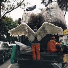 SeeNoEvil 🙈🙉🙊 (William Braun)