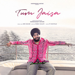 Tum Jaisa
