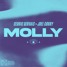 Molly - Joel Corry × Cedric Gervais (Astrokid Remix)