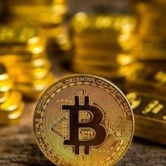 Immediate Flarex Official Website