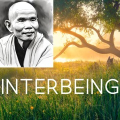 Interbeing We Are All Interconneted