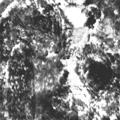Stagnant Corpse - First Blood
