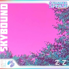 ZytrikX & Zhander — Skybound