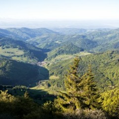Black Forest, South Germany