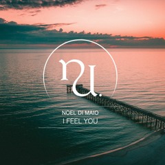 Noel Di Maio - I Feel You (Original Mix) (SC Preview)