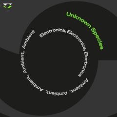 Ambient / Experimental