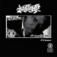 Shrlock - 90's Unreleased + All Comp. Slide Back snippet CD, 2xLP, Bundle Pre Order Now