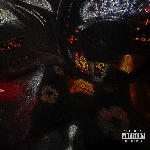 9slchris - chinchillas (sped up)