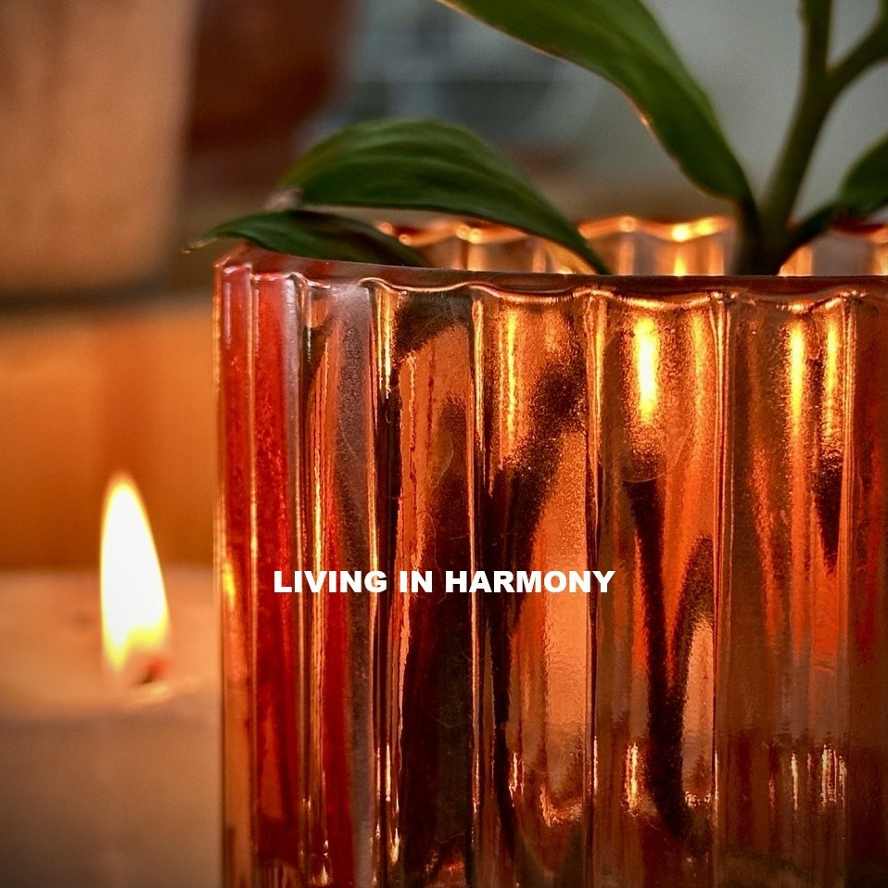 SVÖGAN - LIVING IN HARMONY 210 (Essence)
