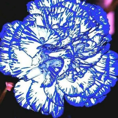 ssj indigo - crash out (prod. phxlxp).