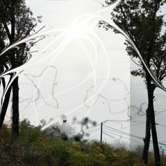 junkmail¸ecosystem++++++takeCaree