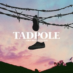 Tadpole