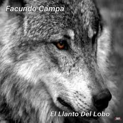 Stream El Llanto Del Lobo by Facundo Campa | Listen online for free on  SoundCloud