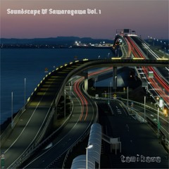 Metropolis Of Sawaragawa
