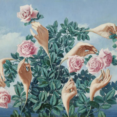 Come Back As A Flower