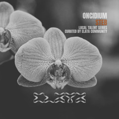 Oncidium 08 | STEB