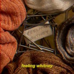 Feeling Whitney - Cover:)