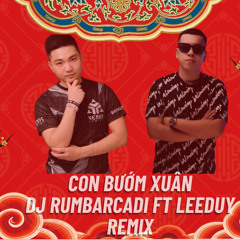 Ho Quang Hieu - Nguyen Dinh Vu - Con Buom Xuan - DJ Rumbarcadi ft Leeduy Remix