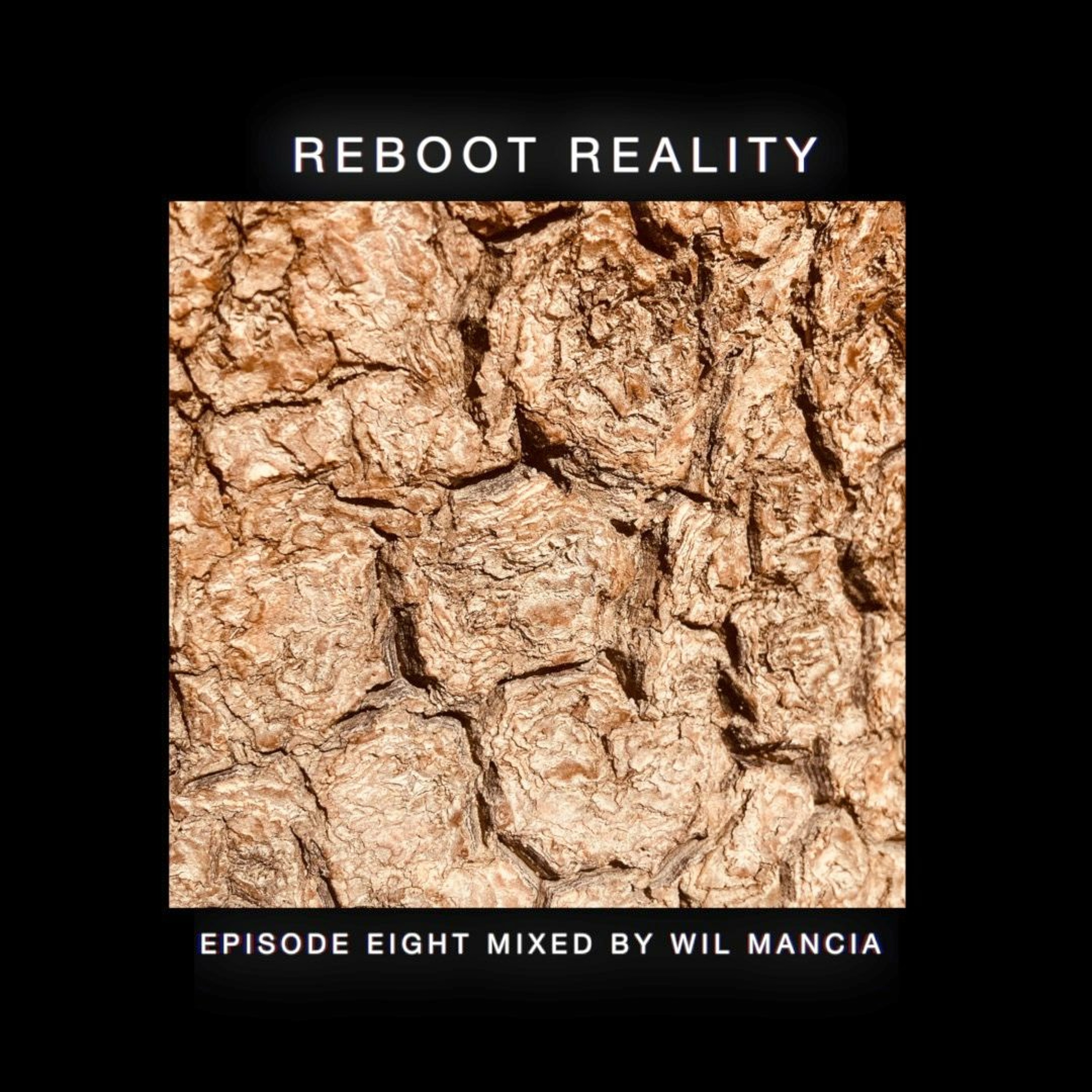Reboot Reality