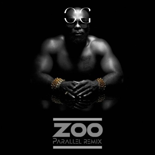 ZOO, Kaaris (Bouyon edit) EXTRAIT