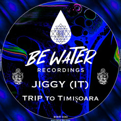 Jiggy (IT) - Trip To Timișoara (Original Mix)