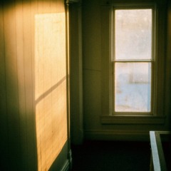 Red Red Yellow (Portfolio Mix)