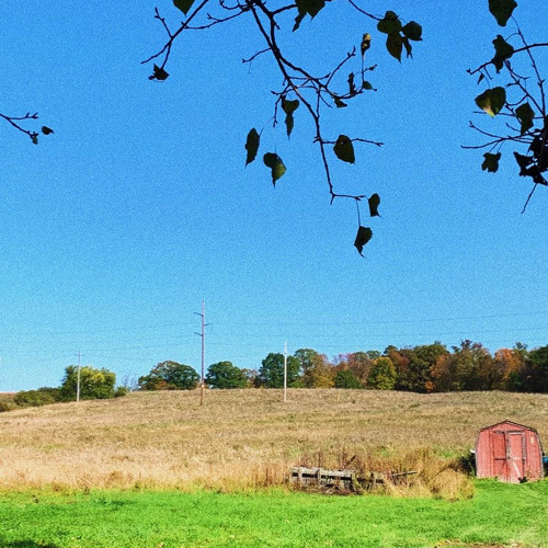 the field