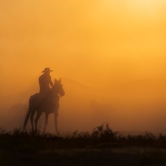 Dream Valley Music - Lone Rider
